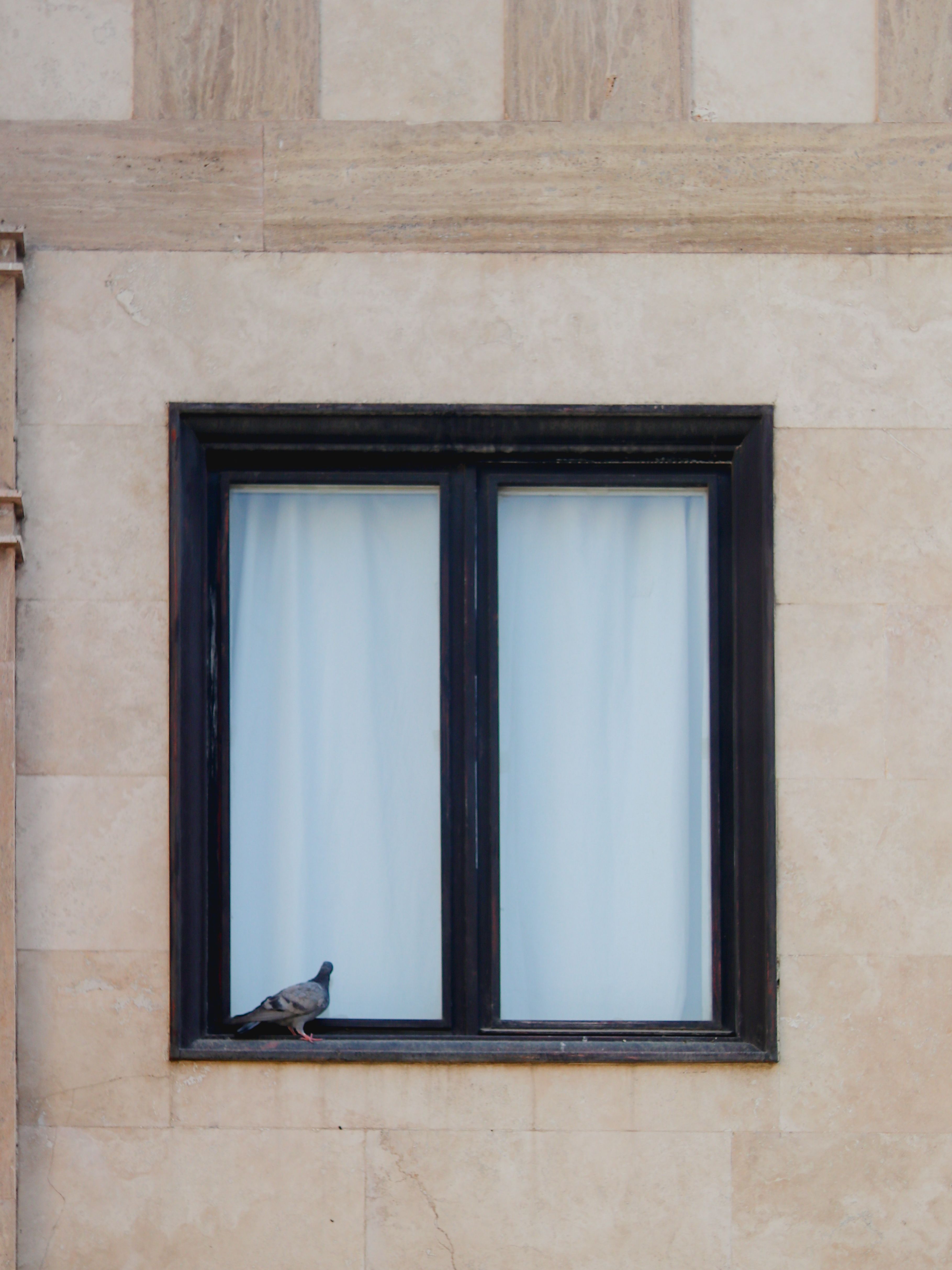 Window frame and seal detail