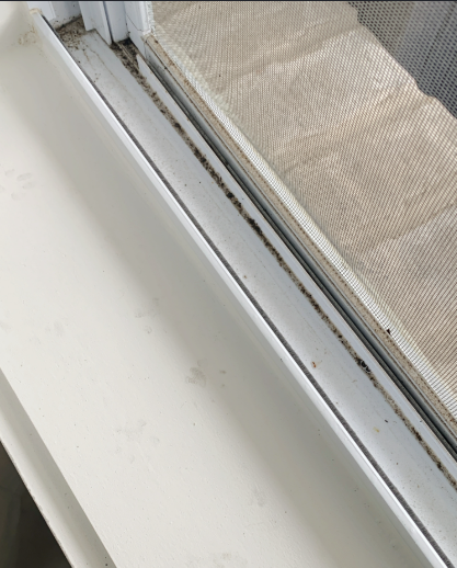 Window track before cleaning